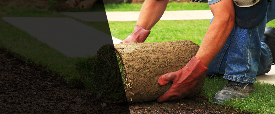 Rutherford Landscapers